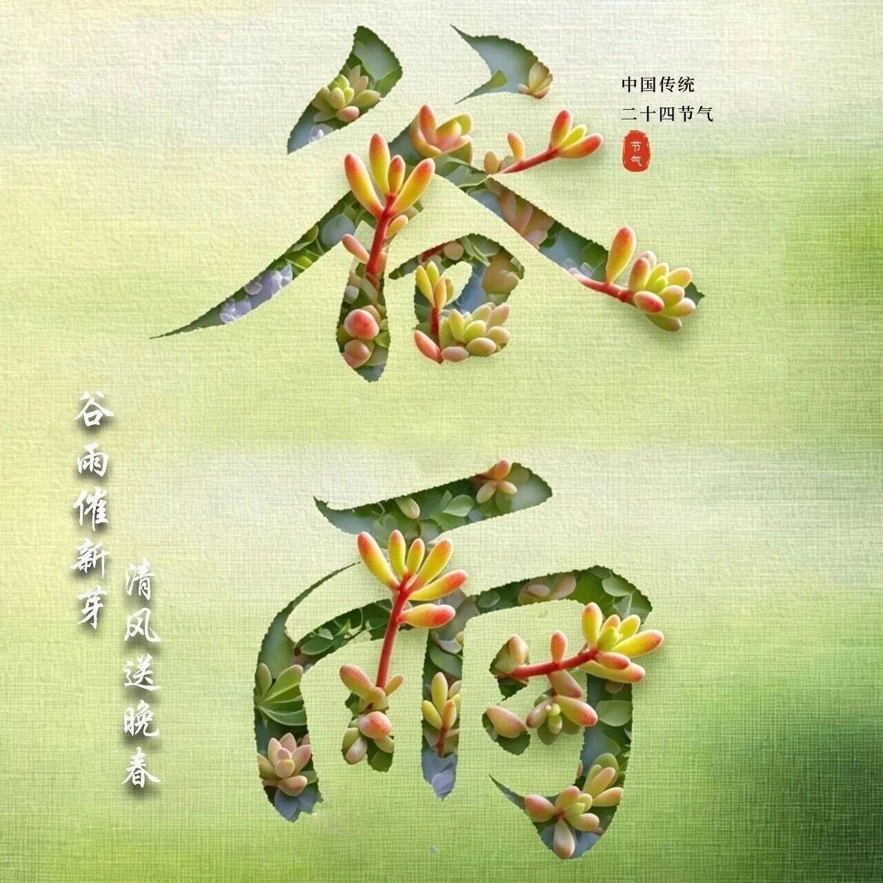 谷雨丨雨生百谷 心随春远