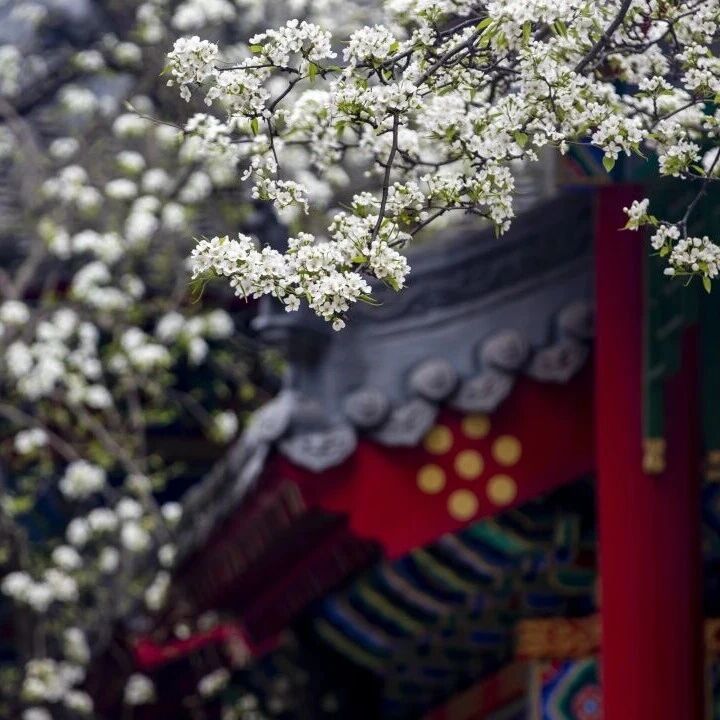 在千山过“五一” 安全和防火真的很重要!