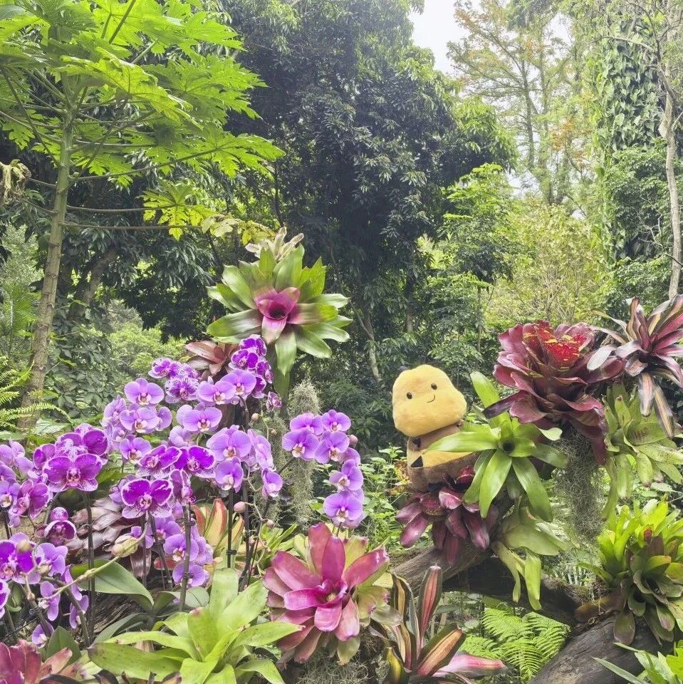 浪漫春色,植趣森活——植物园五一游园攻略,看这里