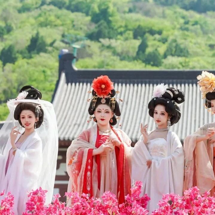 五一即刻出发华清宫!“环环”我来啦!!!