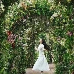 “兰”不住的花海盛宴,就在辰山植物园