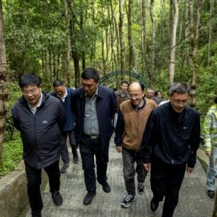 联合开展国家重点保护野生植物寒兰回归井冈山——协同推进华东兰科植物可持续利用的绿色实践