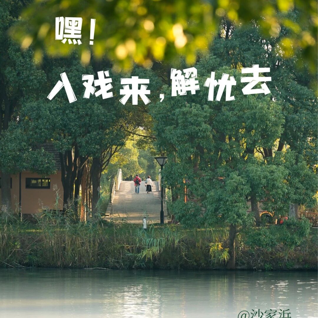 五一游沙家浜,这篇攻略就够了!