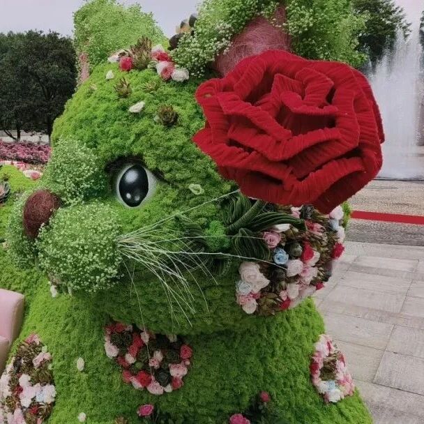 一键承包五一浪漫,月季展游玩攻略来了