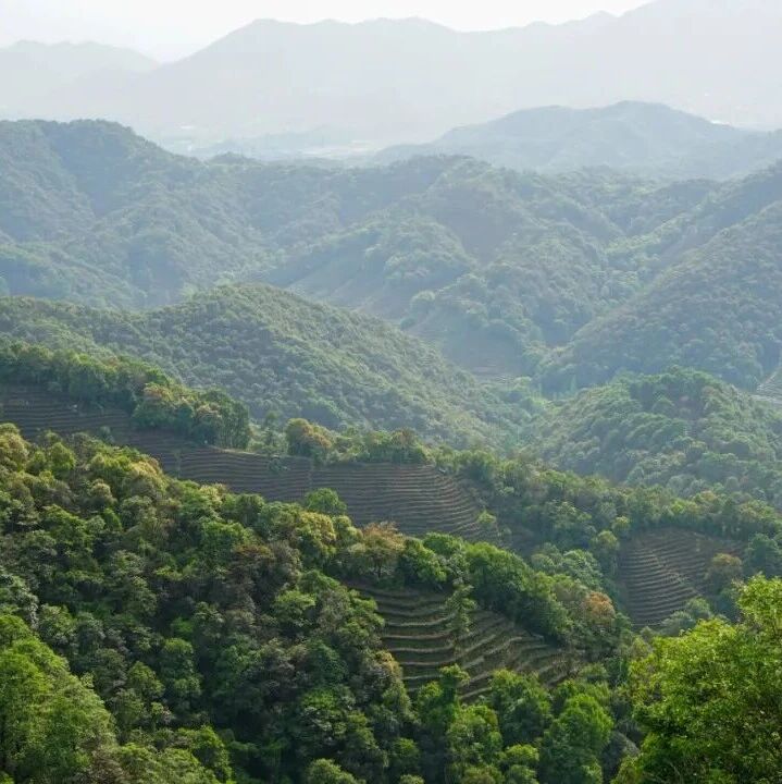 “五一”去西湖爬山?这份公益“清”山指南请收好!