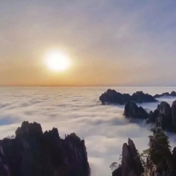 青春逐梦绽芳华 五四薪火耀黄山——黄山风景区开展五四青年节系列主题活动