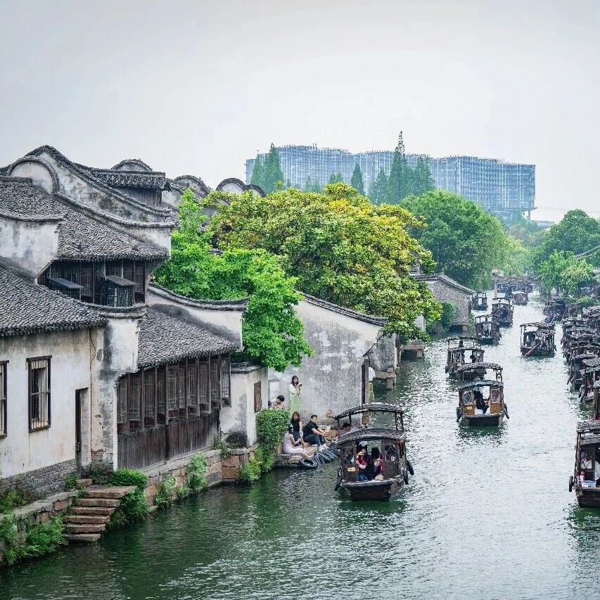 游乌镇,记住这些免费好搭子