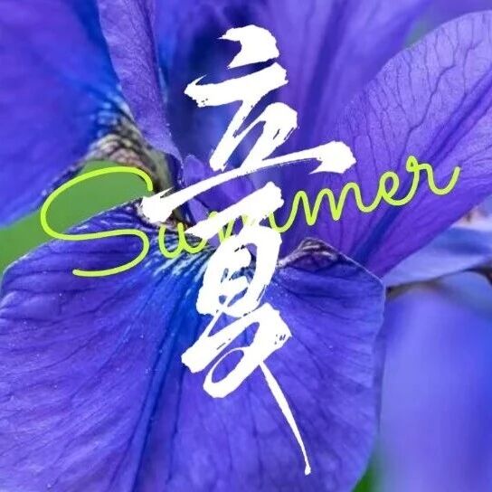 立夏丨风暖昼长,夏意初漾