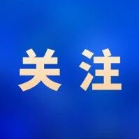 我是小马推荐官|“启航‘十五五’ 飞跃宁马线”网络主题活动举行