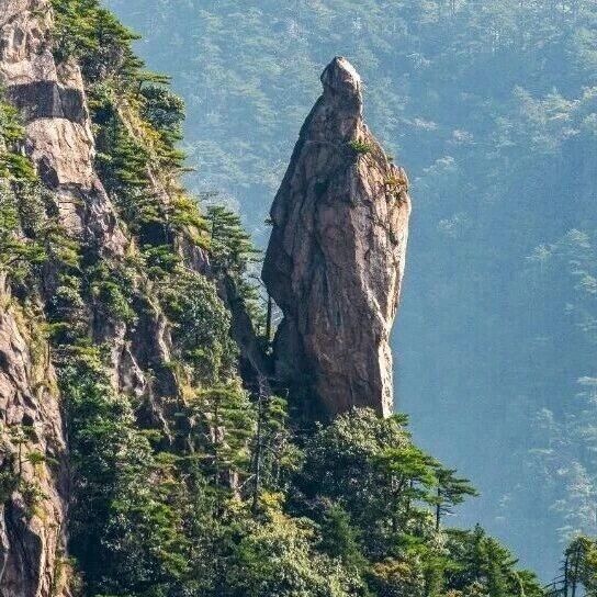 黄山喊你来“赐名”!东海新景点由你定,门票索道票免费送!