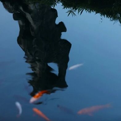 惠民活动招募 | 山水园林的营建公益讲座