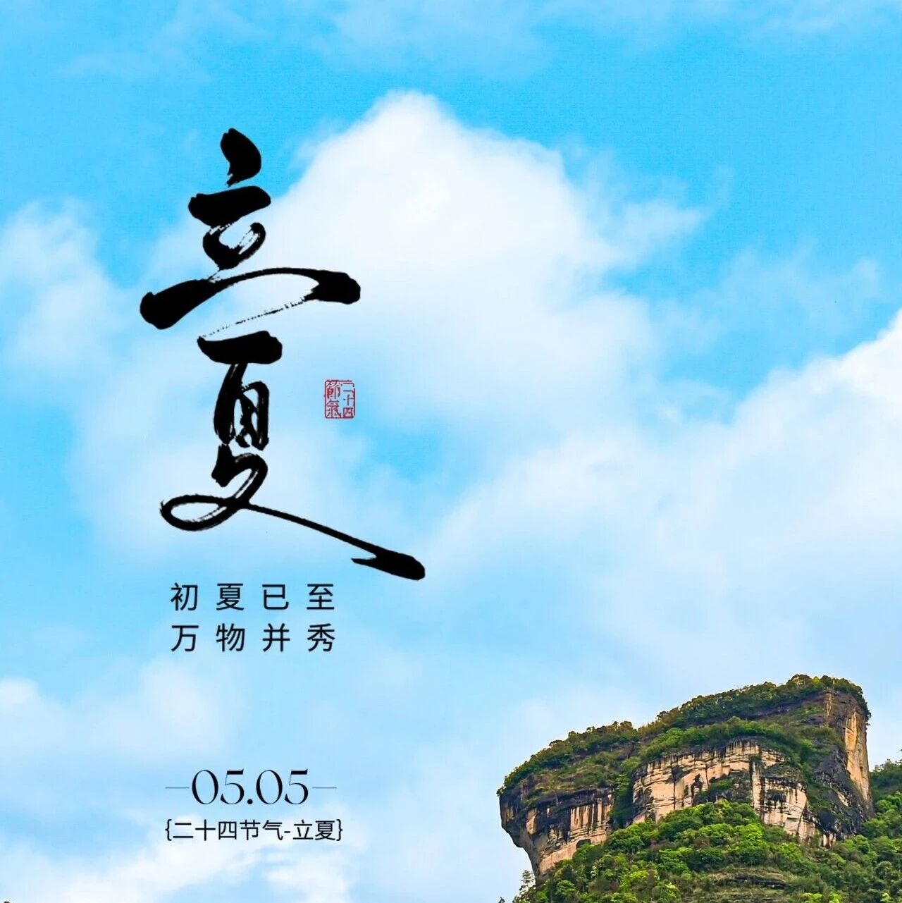 立夏|岩茶初成 清和入序