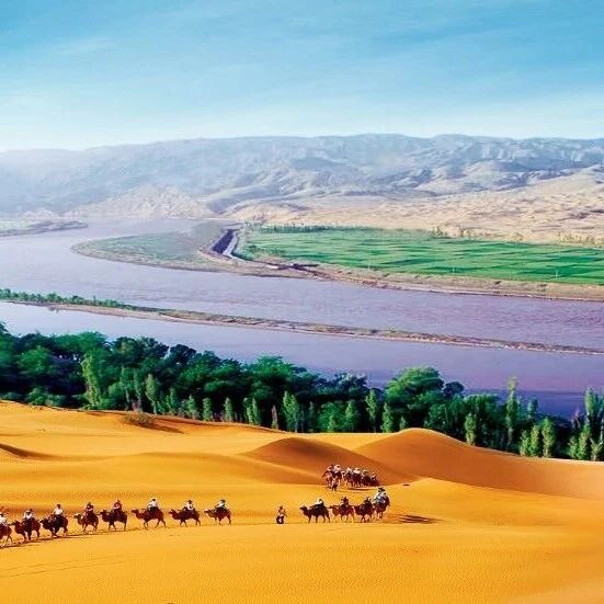 大漠吻过黄河湾 ——沙坡头,等您赴约