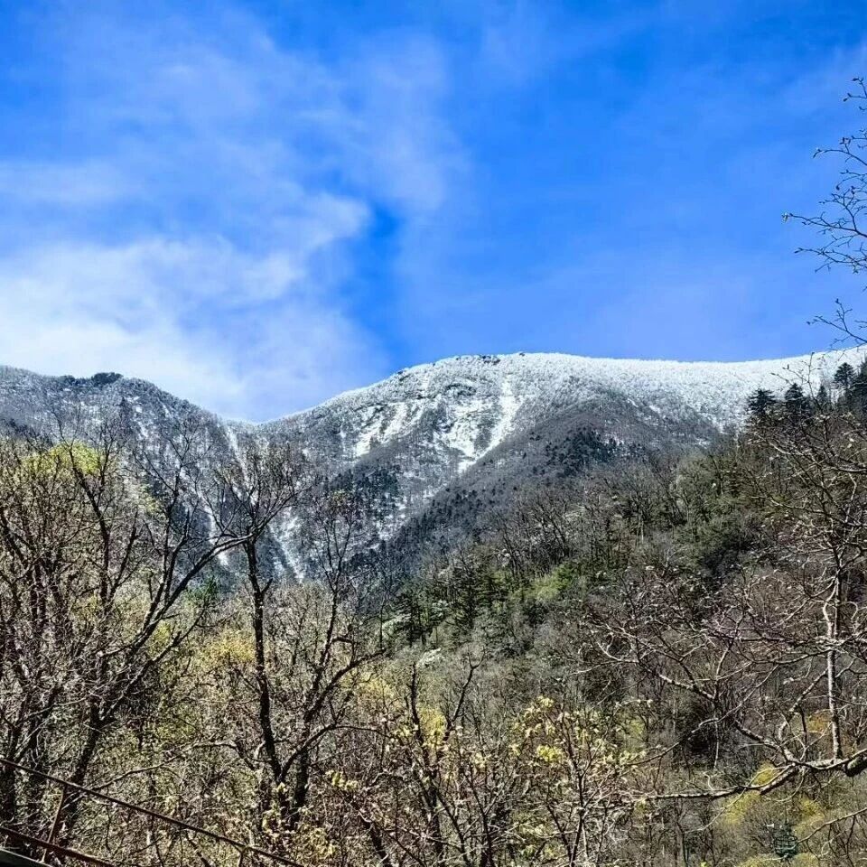谁的朋友圈,还缺一场太白积雪?