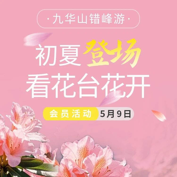 5.9 会员日 | 初夏赴花台,共赏漫山杜鹃花开