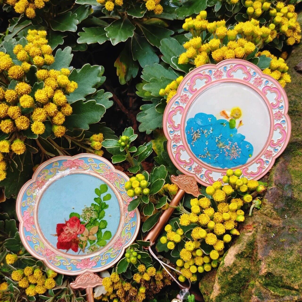 五一去哪儿?青秀山压花手作+限时折扣,解锁假期最高级的玩法!
