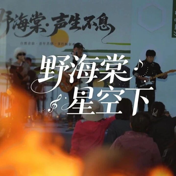 野海棠 星空下|普达措第3季野海棠音乐节·露营限量招募