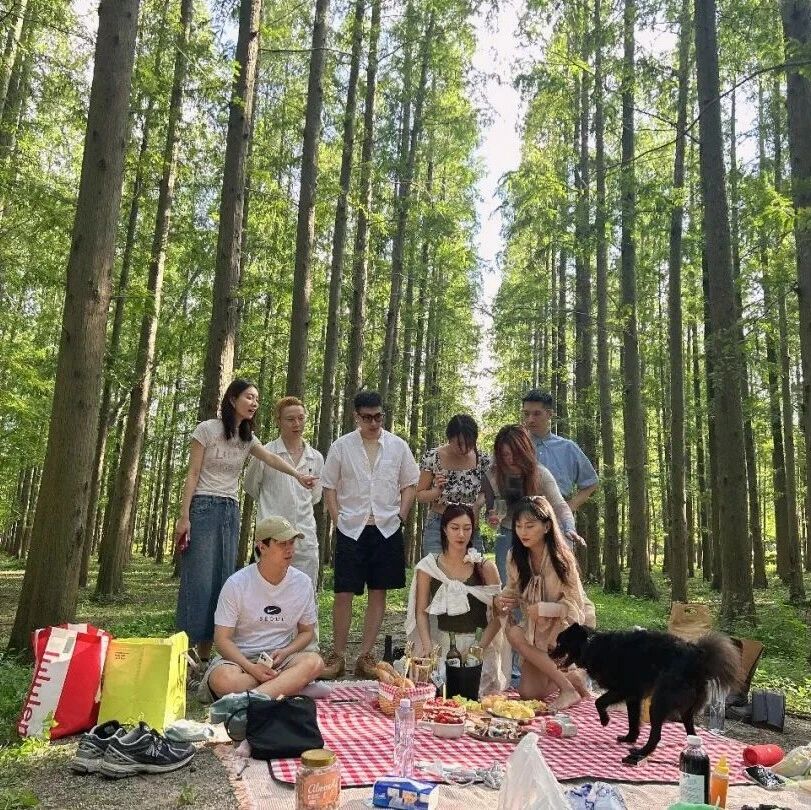 中国旅游日|东平国家森林公园宠粉福利!门票半价 + 生日免票,赴一场森林之约