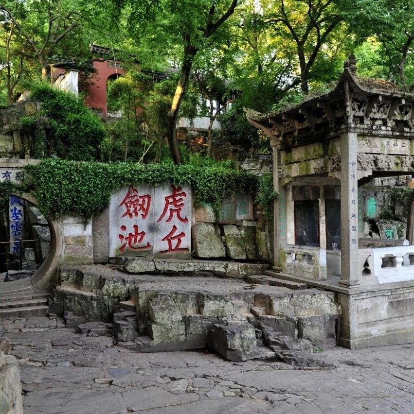 赏园林•读苏城 | 虎丘山里的文化课---青梅酿酒手作课邀您共赴风雅