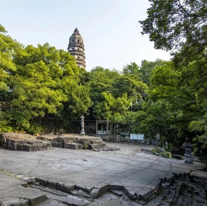 苏派盆景“活”起来!60+场活动,让美学触手可及