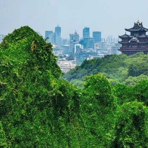 杭州这条宝藏爬山路线,“彩蛋”太多,还不废腿!“摩崖石刻+石窟造像+绿野仙踪+……”