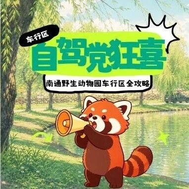 亲身实测!自驾游园轻松又自在!