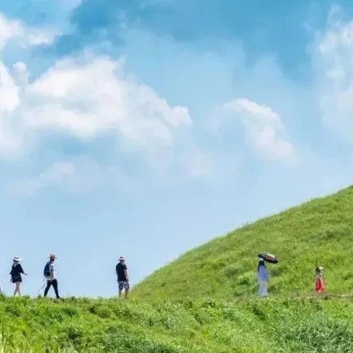 武功山已全绿‼️母亲节陪妈妈来登山吧~