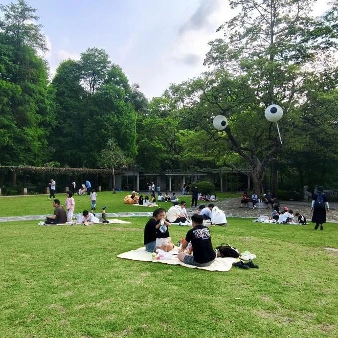 明珠楼藏着三片“露营天花板”,湖景、草坡、撒欢地任你选